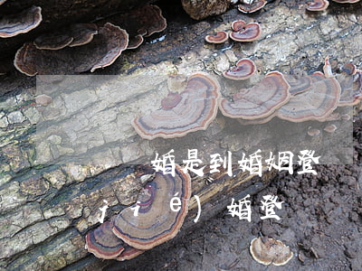辦離婚是到婚姻登記處么(離婚登記是在結(jié)婚登記處嗎)