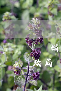 辦離婚時民政局會問什么問題(離婚是要去民政局)