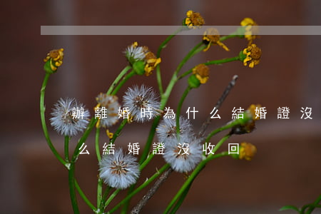 辦離婚時為什么結婚證沒收回(辦離婚時為什么結婚證沒收回)