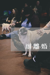 辦離婚要什么手續(xù)