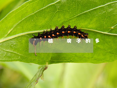 辦離婚賣房子的多嗎(辦離婚賣房子的多嗎)
