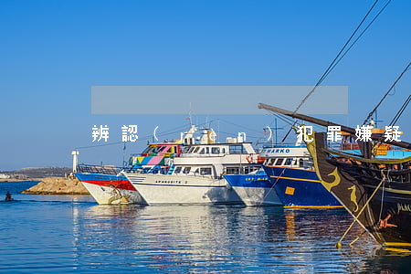 辨認(rèn)犯罪嫌疑人的方式