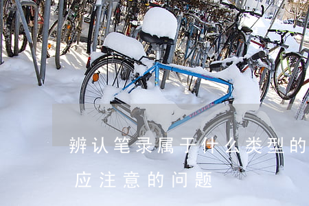 辨认笔录属于什么类型的证据（审核辨认笔录应注意的问题）