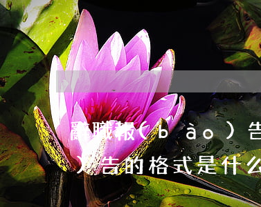 辭職報(bào)告的格式(辭職報(bào)告的格式是什么)