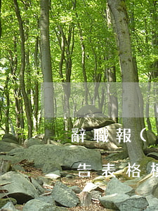 辭職報(bào)告表格(辭職報(bào)告表格模板填寫)