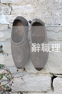 辭職理由怎么寫(辭職理由怎么寫)