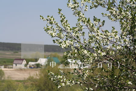 辭職申請(qǐng)書(shū)模板