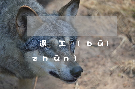 辭退員工補(bǔ)償標(biāo)準(zhǔn)