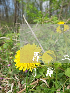 辱罵員工違法么（領(lǐng)導(dǎo)辱罵員工如何處理）