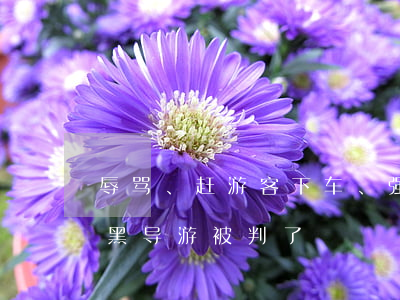 辱骂、赶游客下车、强迫消费……云南这名黑导游被判了！