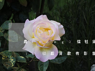 農(nóng)信社貸款逾期一天對(duì)以后貸款有影響嗎?-農(nóng)信社貸款逾期一天對(duì)以后貸款有影響嗎