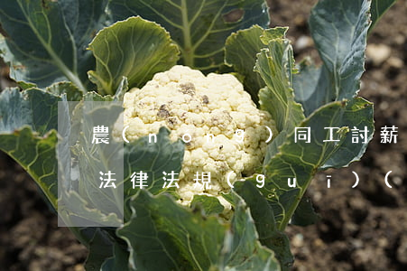 農(nóng)同工討薪相關(guān)法律法規(guī)(農(nóng)民工討薪涉及什么法律)