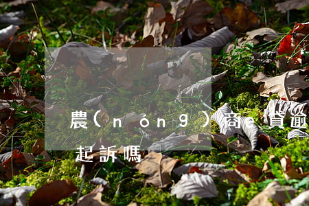 農(nóng)商e貸逾期了會(huì)起訴嗎