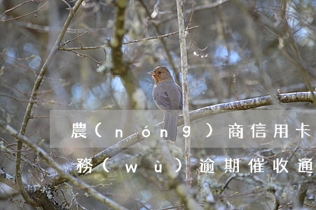 農(nóng)商信用卡逾期催收函(銀行債務(wù)逾期催收通知書)