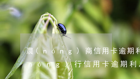 農(nóng)商信用卡逾期利息多少(農(nóng)行信用卡逾期利息多少錢一天)