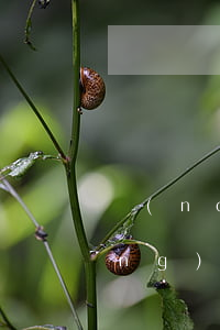 農(nóng)商信用卡逾期期限 農(nóng)村信用社信用卡逾期受限制了怎么辦