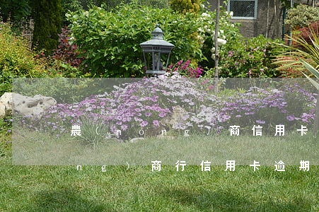 農(nóng)商信用卡逾期費率 農(nóng)商行信用卡逾期多久上征信