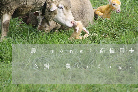 農(nóng)商信用卡額度十五萬逾期怎么辦-農(nóng)商信用卡額度十五萬逾期怎么辦啊