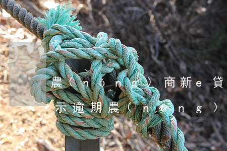 農(nóng)商新e貸結(jié)清顯示逾期(農(nóng)商E貸有賬單了)