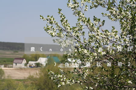 農(nóng)商行貸款逾期2天(農(nóng)商行貸款逾期2天)