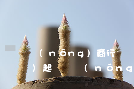 農(nóng)商行貸記卡逾期會(huì)起訴嗎(農(nóng)商銀行信用貸款逾期還不上會(huì)判刑嗎)