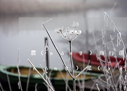 農(nóng)商行還款逾期怎么扣款(農(nóng)業(yè)銀行逾期扣款是怎么回事)