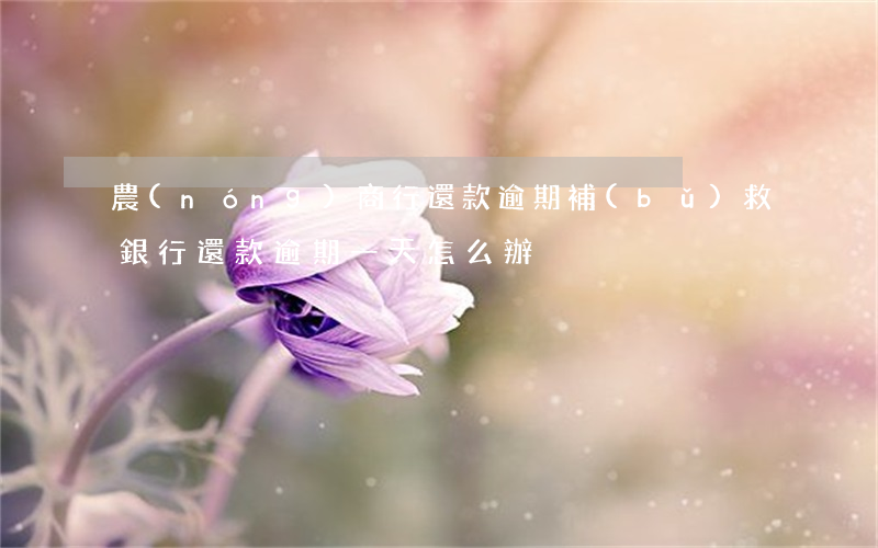 農(nóng)商行還款逾期補(bǔ)救(銀行還款逾期一天怎么辦)