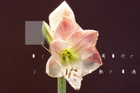 農(nóng)商銀行5萬逾期4個(gè)月-銀行貸款5萬逾期兩個(gè)月