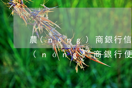 農(nóng)商銀行信用卡不還怎么辦(農(nóng)商銀行便民卡還不上怎么辦)