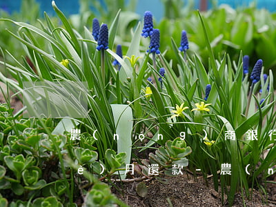 農(nóng)商銀行信用卡逾期3個(gè)月還款-農(nóng)行信用卡2萬(wàn)五逾期三個(gè)月