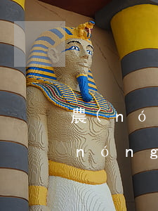 農(nóng)商銀行信用卡逾期一周(農(nóng)商銀行信用卡逾期一周被鎖卡)