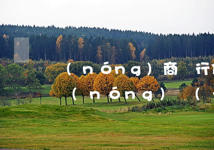 農(nóng)商銀行信用卡逾期一年4萬(農(nóng)業(yè)銀行信用卡3萬欠1年)