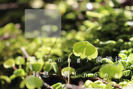 農(nóng)商銀行信用卡逾期一月多少利息-農(nóng)商行信用卡逾期一天有什么影響
