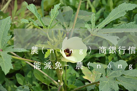 農(nóng)商銀行信用卡逾期利息能不能減免-農(nóng)商行信用卡逾期已還款可以繼續(xù)用嗎