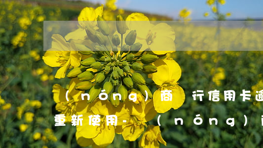 農(nóng)商銀行信用卡逾期后以后能重新使用-農(nóng)商銀行信用卡逾期后以后能重新使用嗎