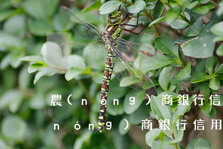 農(nóng)商銀行信用卡逾期后果(農(nóng)商銀行信用卡逾期了半年了)