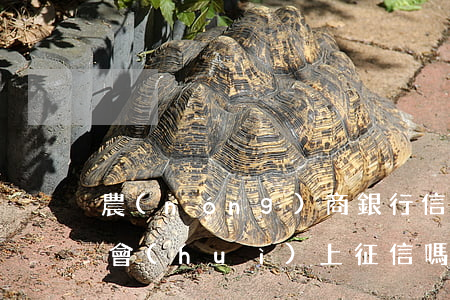 農(nóng)商銀行信用貸款逾期2天就會(huì)上征信嗎（農(nóng)商銀行信用卡逾期多久上征信）