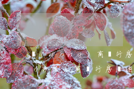 農(nóng)商銀行房貸逾期罰息(農(nóng)商銀行房貸逾期罰息)