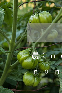 農(nóng)商銀行貸款3萬沒還上（農(nóng)商銀行貸款3萬到期還不起）