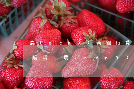 農(nóng)商銀行貸款可以申請停息掛賬嗎-農(nóng)商銀行房貸能停貸嗎