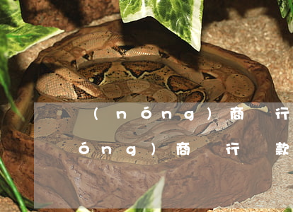 農(nóng)商銀行貸款本金逾期(農(nóng)商銀行貸款利息逾期了能主動(dòng)還嗎)