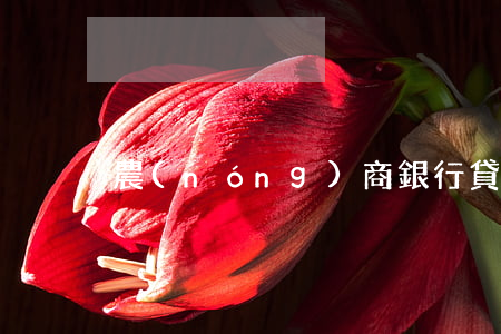 農(nóng)商銀行貸款條件