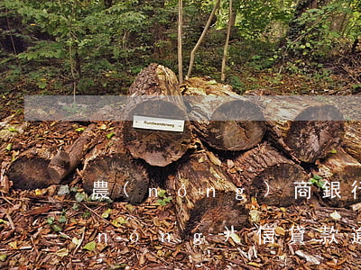 農(nóng)商銀行貸款能逾期還嗎(農(nóng)信貸款逾期還款怎么還)