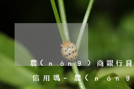 農(nóng)商銀行貸款逾期兩天會影響信用嗎-農(nóng)商銀行貸款逾期兩天會影響信用嗎