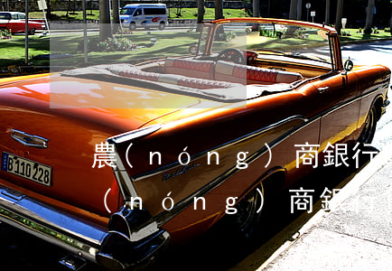 農(nóng)商銀行貸款逾期多久起訴(農(nóng)商銀行貸款逾期一個(gè)月了會(huì)被起訴嗎)
