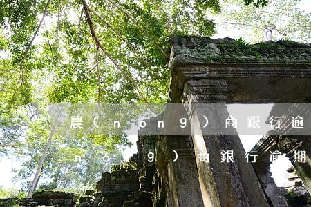 農(nóng)商銀行逾期去哪里還款(農(nóng)商銀行逾期去哪里還款)