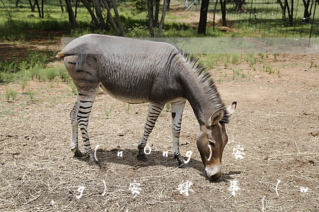 農(nóng)安勞動糾紛律師(農(nóng)安縣律師事務(wù)所)