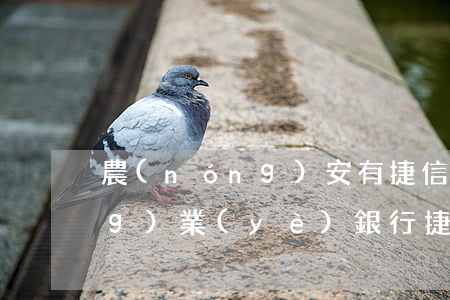 農(nóng)安有捷信貸款嗎(農(nóng)業(yè)銀行捷信貸款)