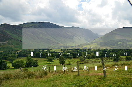 農(nóng)戶(hù)五聯(lián)保貸款逾期(銀行五戶(hù)聯(lián)保貸款給別人不還怎么辦)