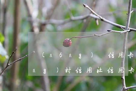 農(nóng)戶信用卡逾期4天(農(nóng)村信用社信用卡可以逾期幾天)